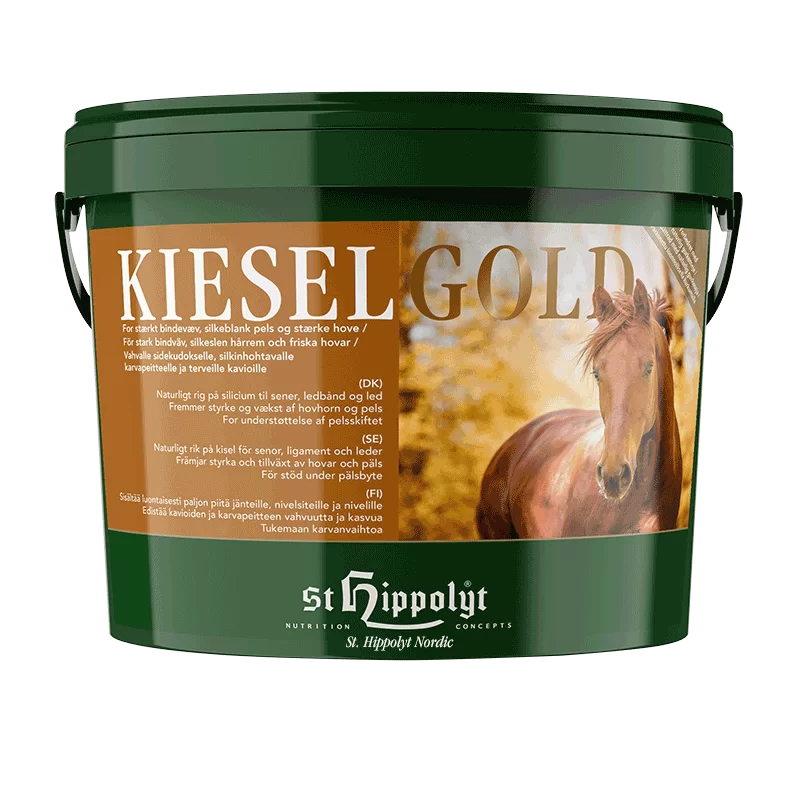St. Hippolyt Kieselgold