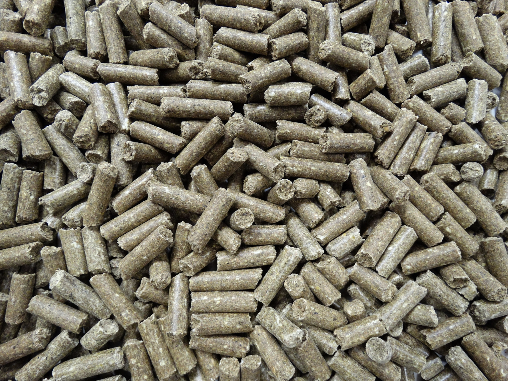 Havens Basis-Sportbrok - Billede 2