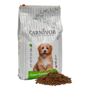 Carnivor - Lille hund