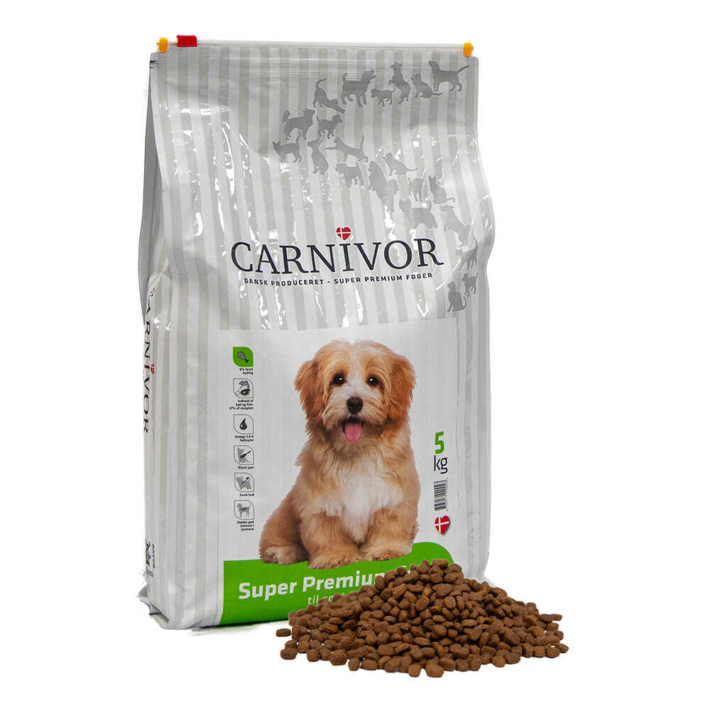 Carnivor - Lille hund