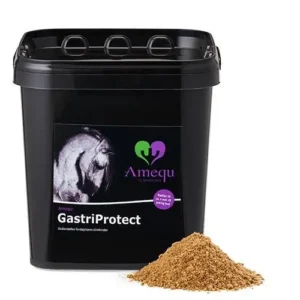 Amequ GastriProtect