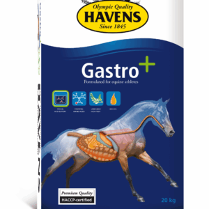 Havens Gastro+