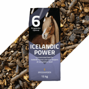 Optimal 6 - Icelandic Power