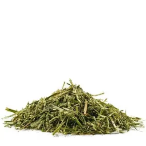 Amequ Lucerne TopMix