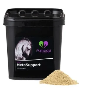 Amequ MetaSupport