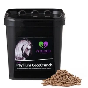 Amequ Psyllium CocoCrunch