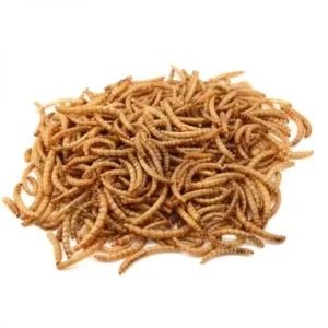 Tørrede Melorme - 850 g