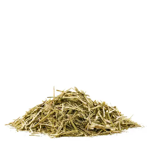 Amequ EspO3 - Billede 2