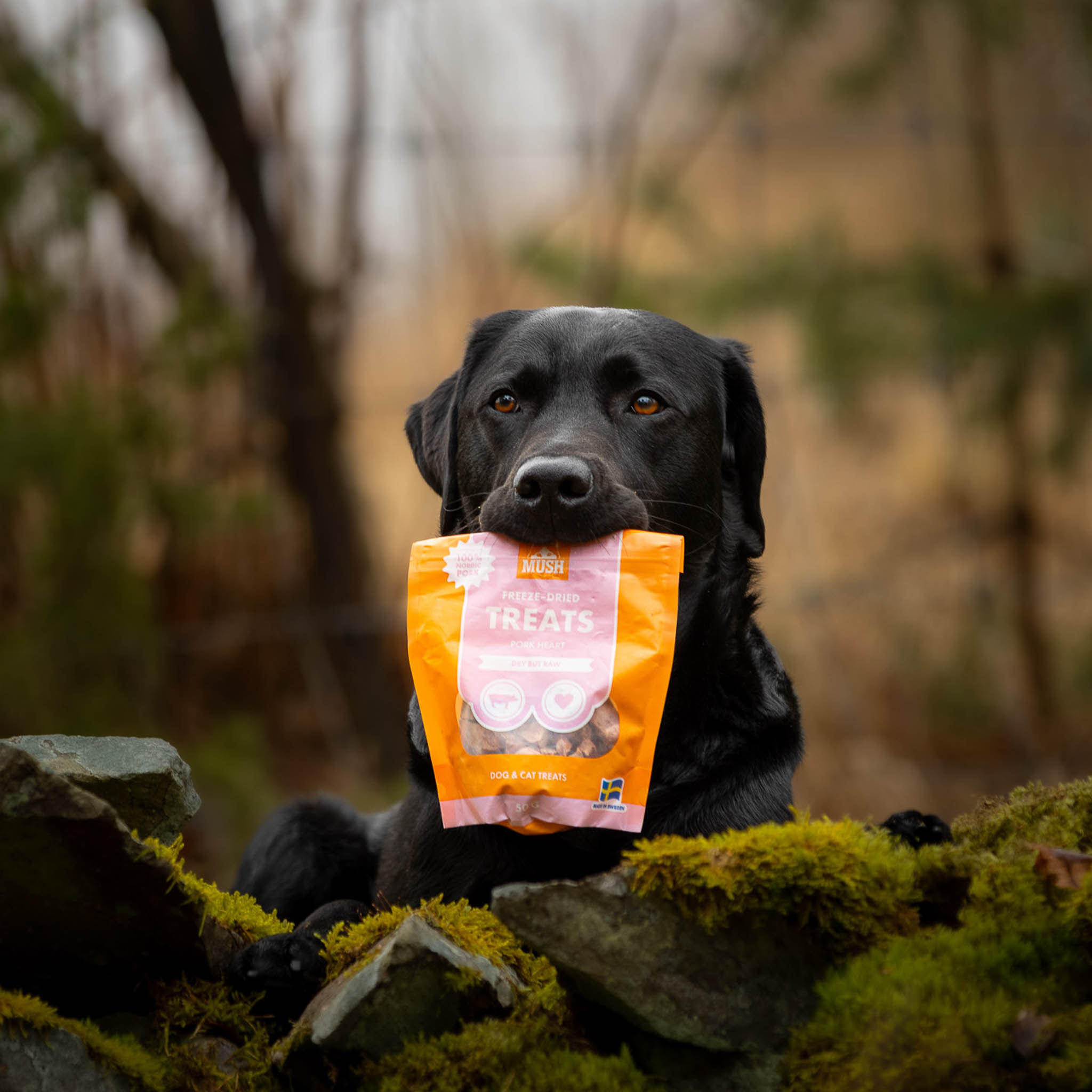 MUSH Frysetørrede Godbidder Grisehjerte 55 g - Billede 2