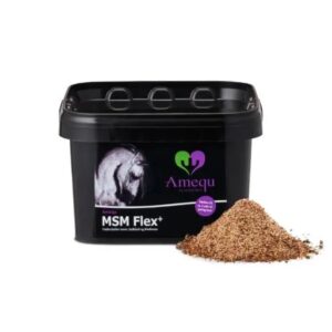 Amequ MSM Flex+