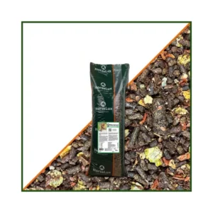 Horselux Green Sport Light