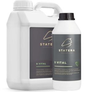 Statera B-Vital 1 L