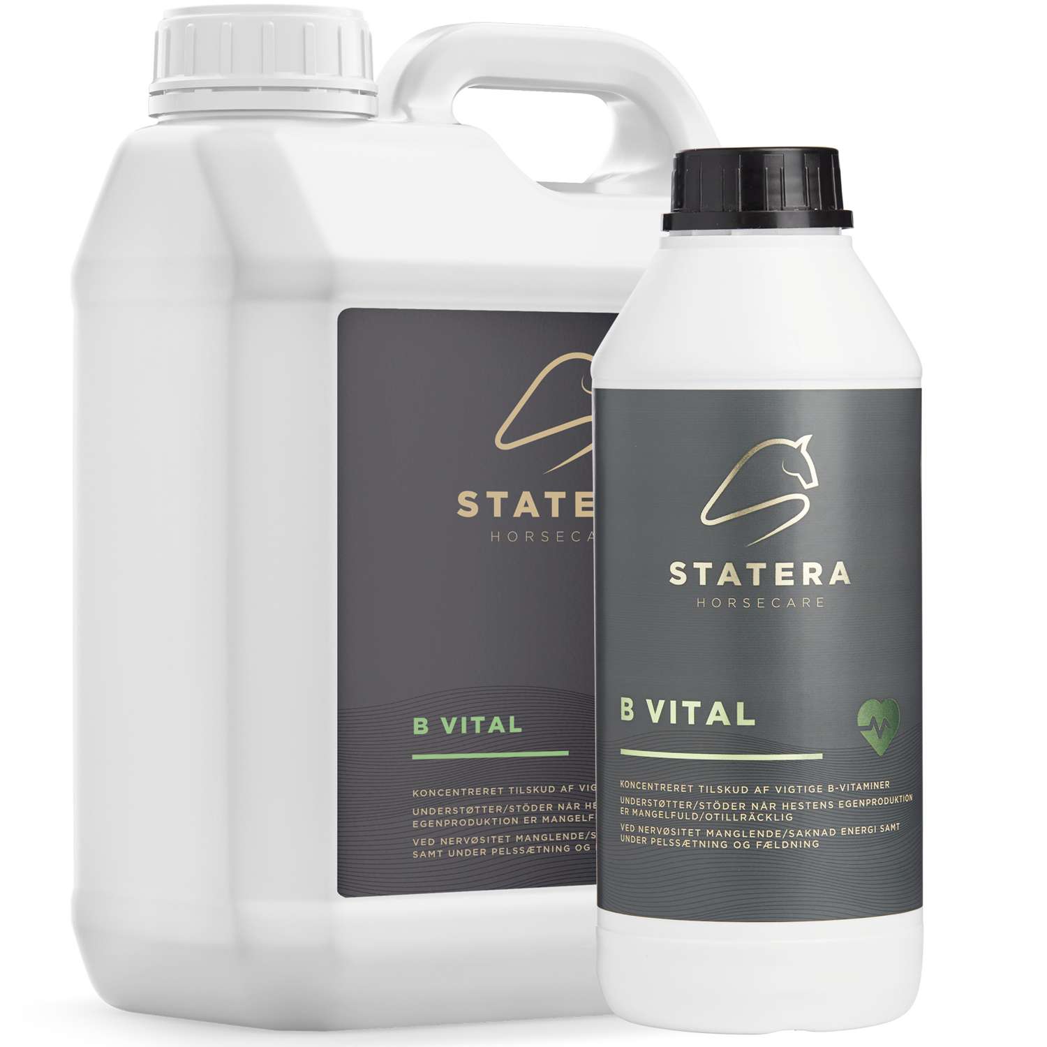 Statera B-Vital 1 L