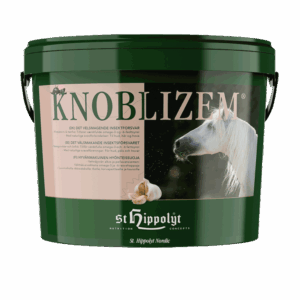 St. Hippolyt Knoblizem (hvidløg)