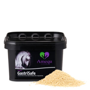 Amequ GastriSafe 1,5 kg