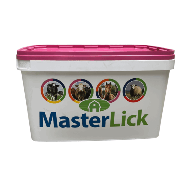 MasterLick Dry Nature – 20 kg