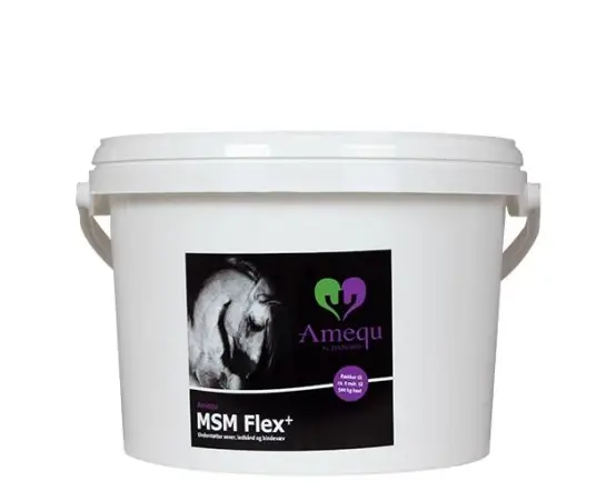 Amequ MSM Flex+ 5 kg