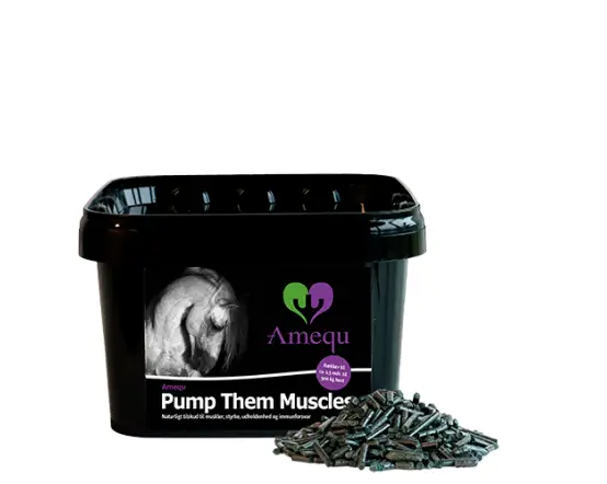 Amequ Pump Them Muscles 1 kg